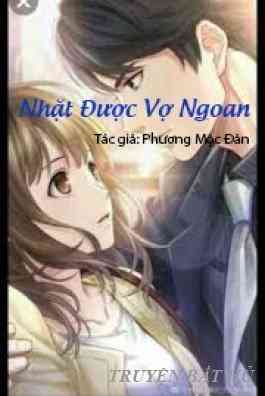 Nhặt Được Vợ Ngoan